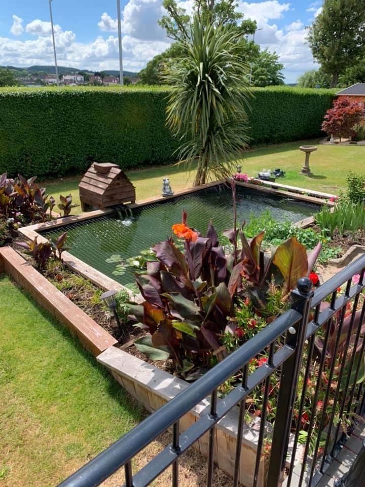 Fishpond Penhill