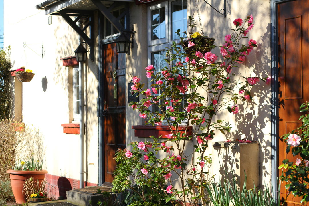 Front Door Penhill